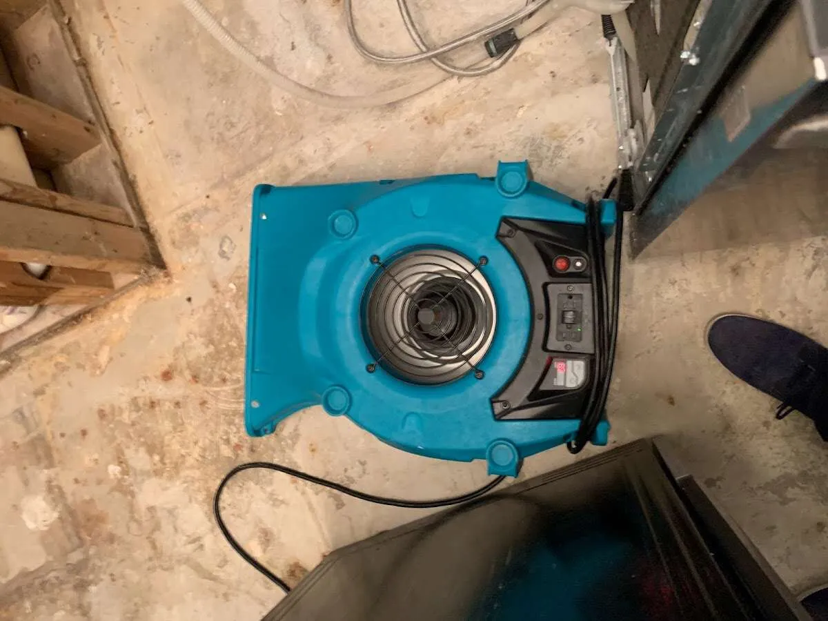 Air mover drying equipment for Mold Remediation & Removal in Largo